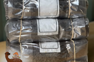 AlpacaSoil - Alpaca Manure-Enriched Substrate